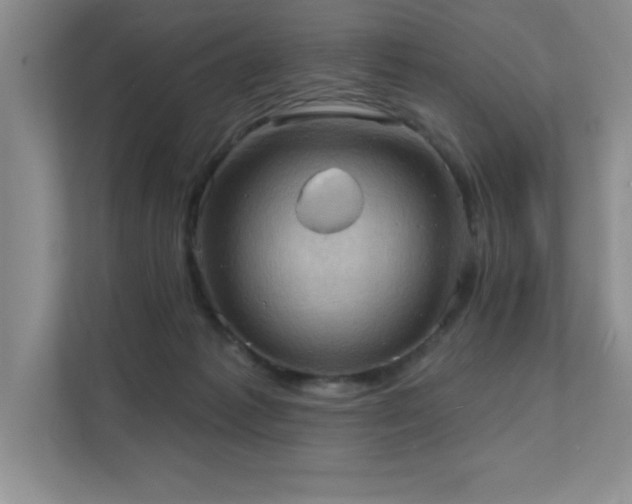 X0000111360221200907101237