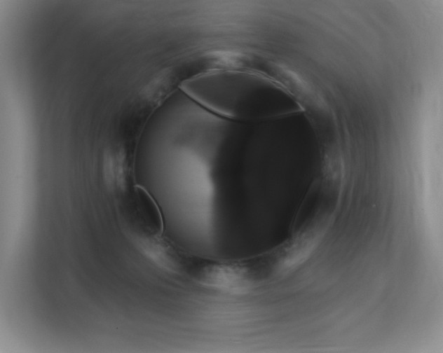 X0000111360223200907101237