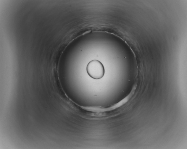 X0000111360225200907101237