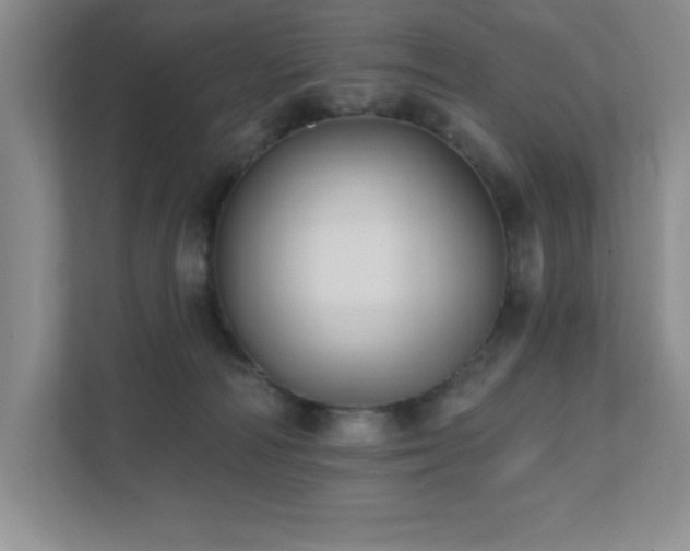 X0000111360226200907101237