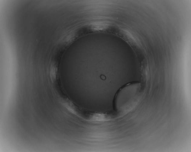 X0000111360227200907101237