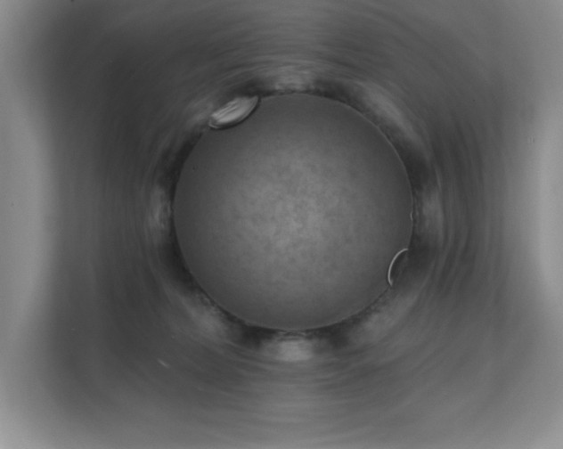 X0000111360228200907101237