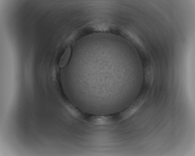 X0000111360229200907101237