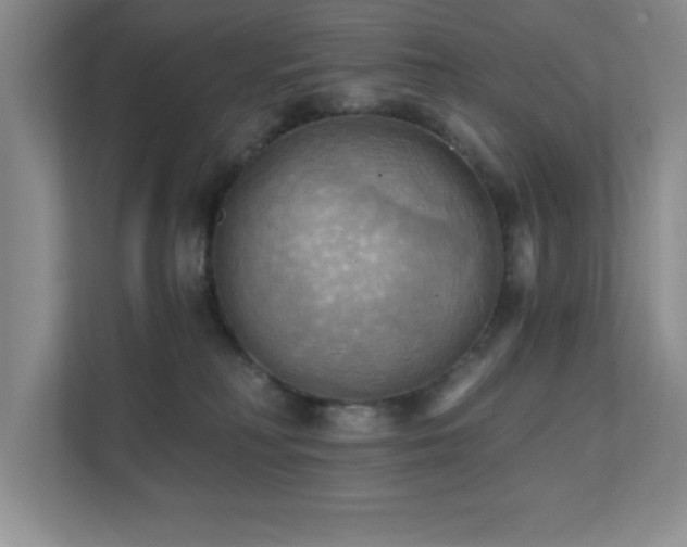 X0000111360230200907101237