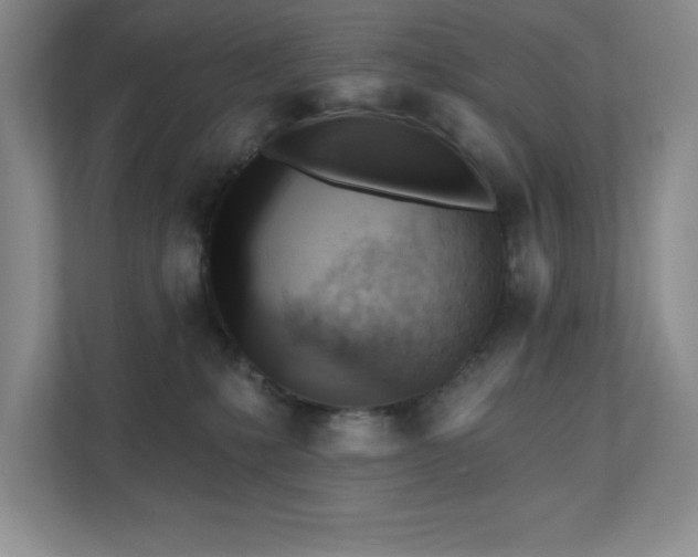 X0000111360231200907101237