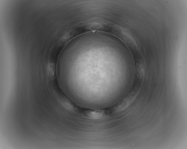 X0000111360232200907101237