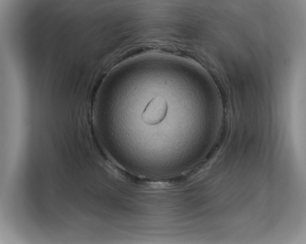X0000111360233200907101237