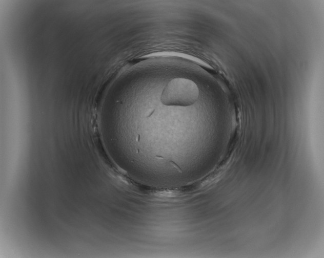 X0000111360237200907101237
