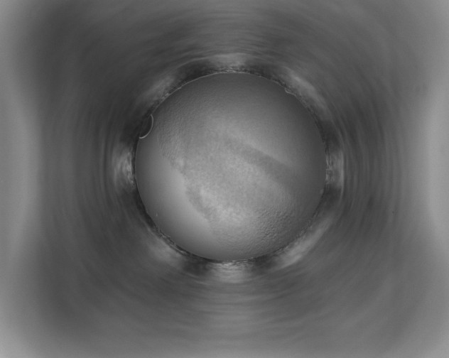 X0000111360238200907101237