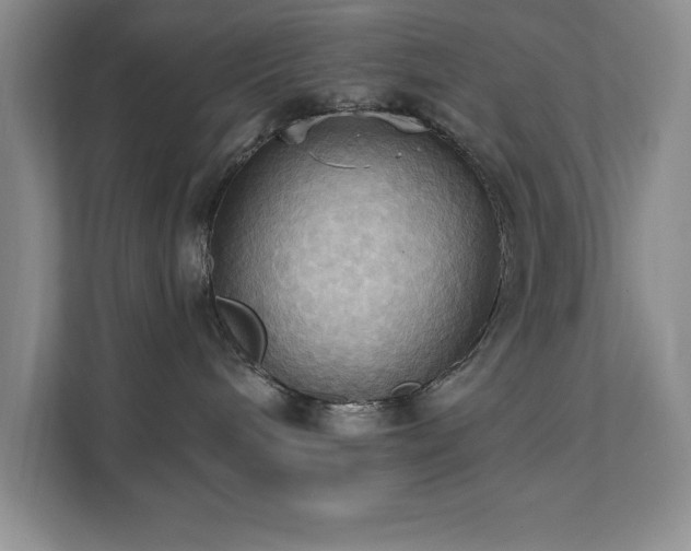 X0000111360240200907101237