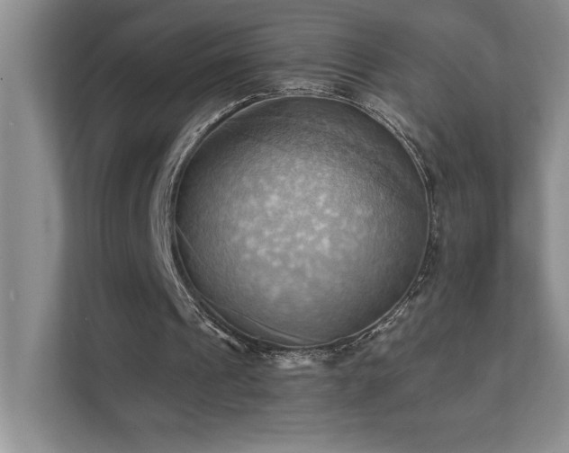 X0000111360241200907101236