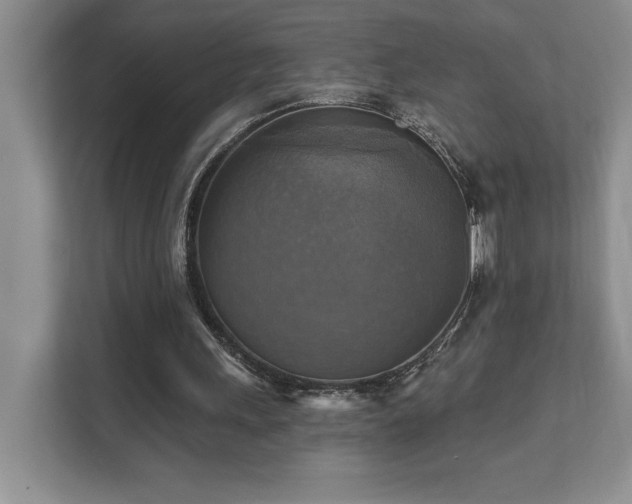 X0000111360243200907101236