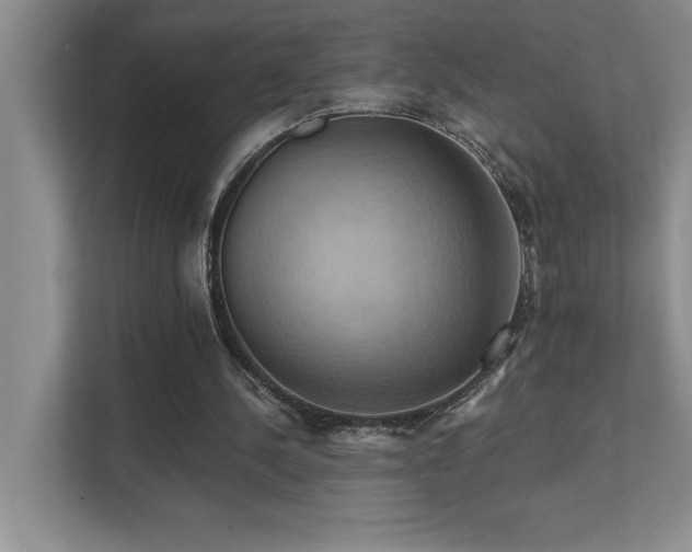 X0000111360244200907101236