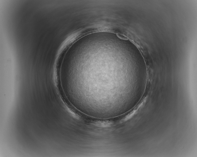 X0000111360245200907101236