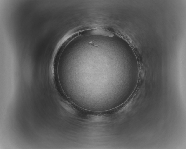 X0000111360246200907101236