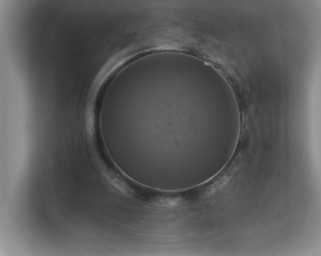 X0000111360247200907101236