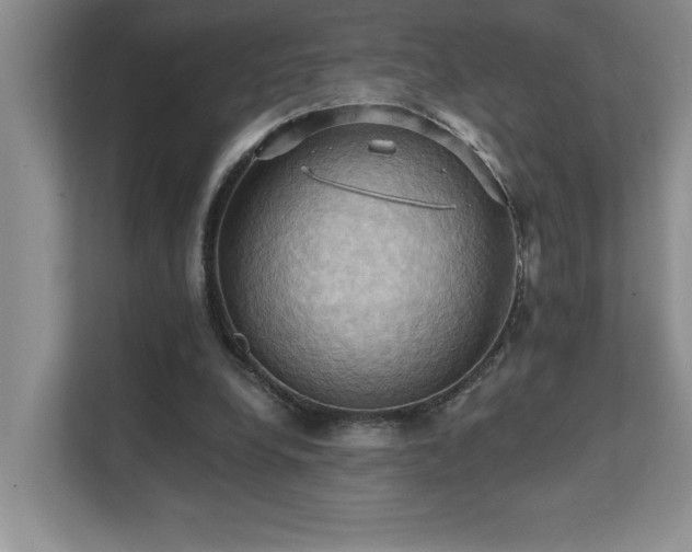 X0000111360248200907101236