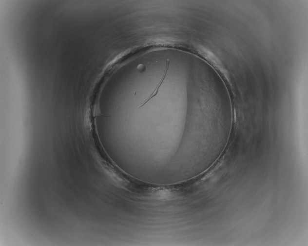 X0000111360249200907101236