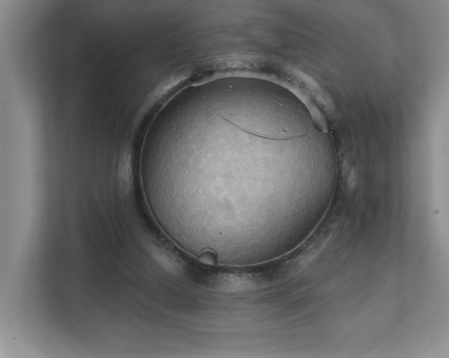 X0000111360250200907101236