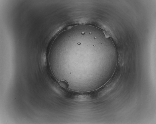 X0000111360251200907101236