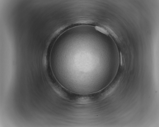 X0000111360252200907101236