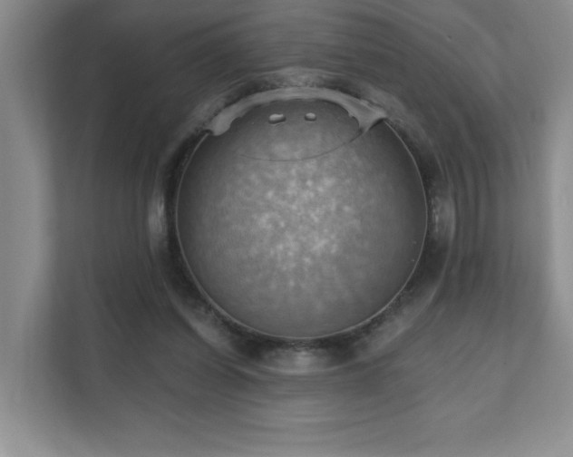 X0000111360254200907101236