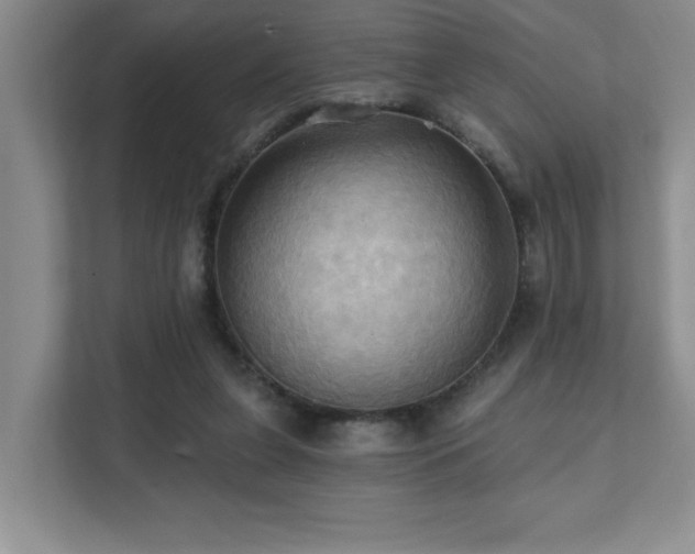 X0000111360255200907101236