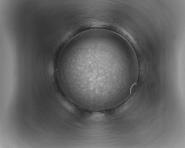 X0000111360257200907101236