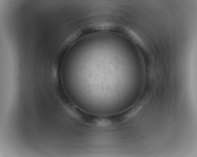 X0000111360258200907101236
