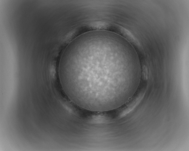 X0000111360259200907101236