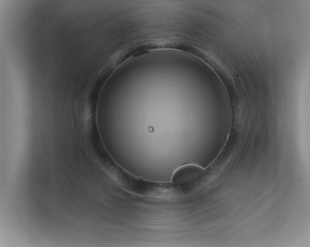 X0000111360260200907101236