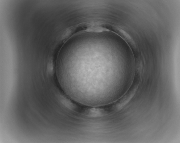 X0000111360261200907101236