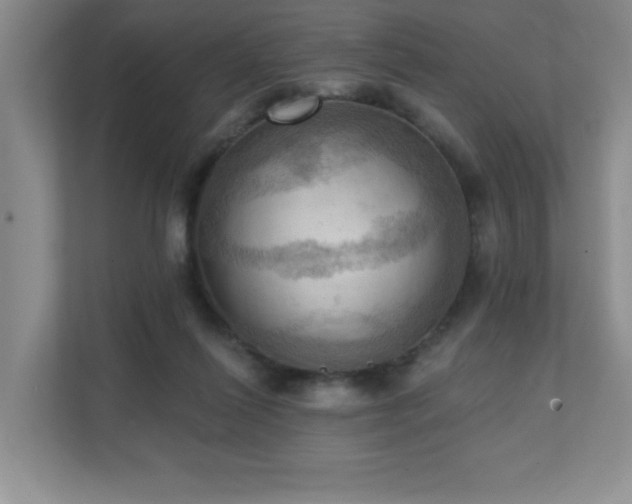 X0000111360262200907101236