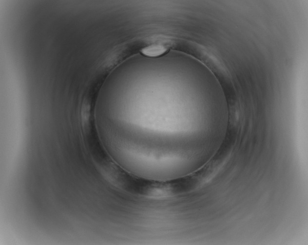 X0000111360263200907101236