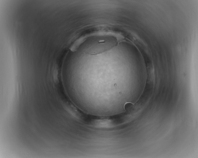 X0000111360266200907101236