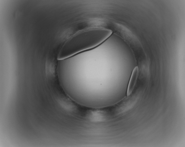 X0000111360268200907101236