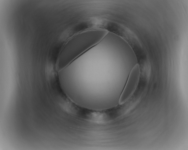 X0000111360272200907101236