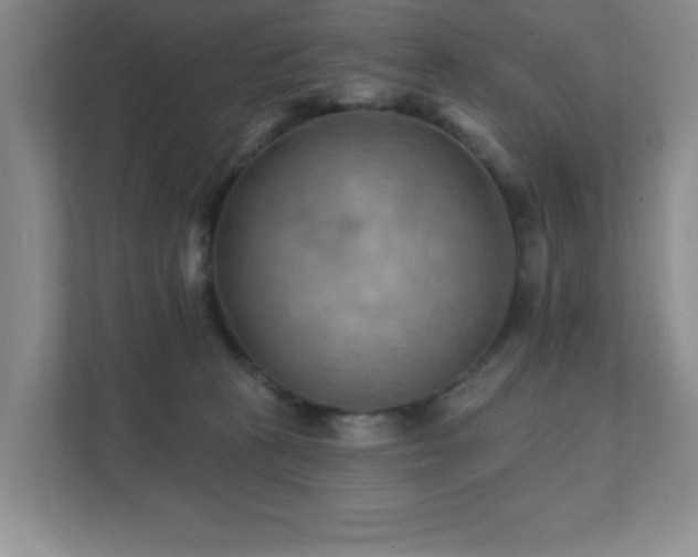 X0000111360273200907101236