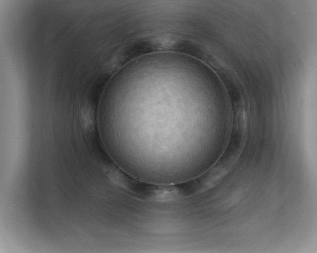 X0000111360274200907101236