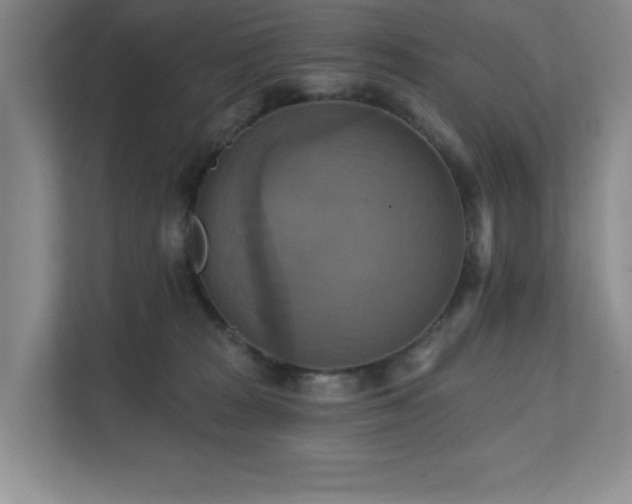 X0000111360277200907101237