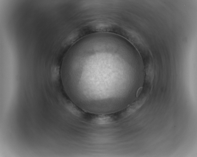 X0000111360278200907101237