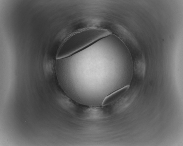 X0000111360280200907101237