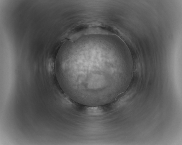 X0000111360281200907101237