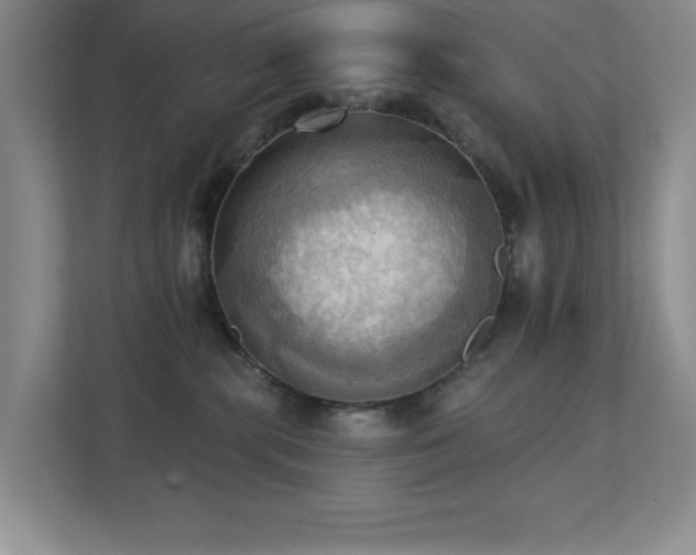 X0000111360283200907101237