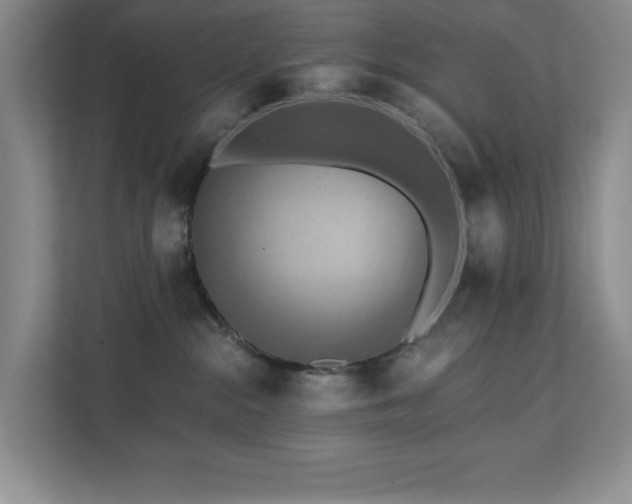 X0000111360284200907101237