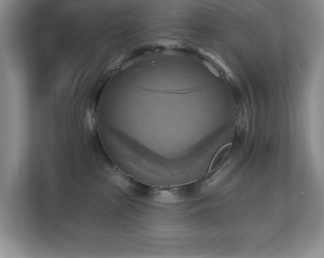 X0000111360285200907101237