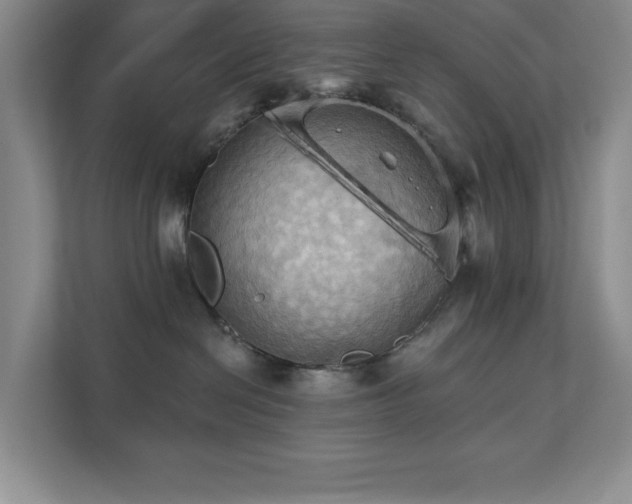 X0000111360286200907101237