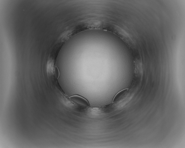 X0000111360287200907101237