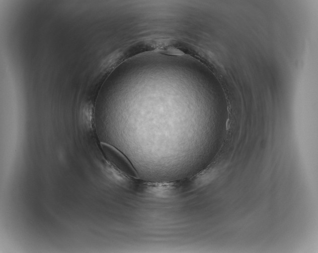 X0000111360288200907101237