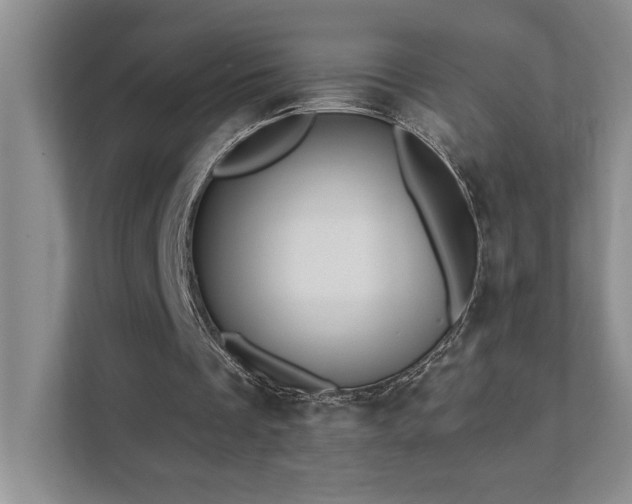 X0000111360289200907101236